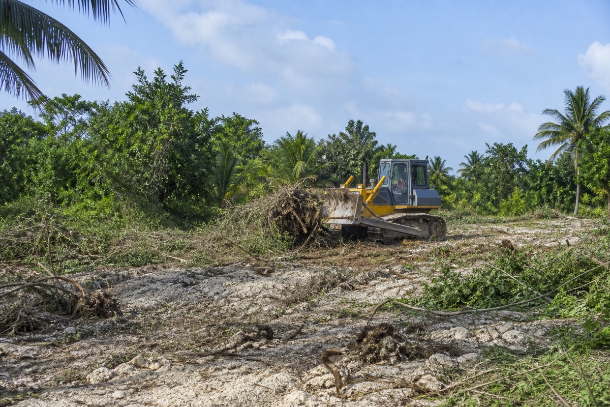 Site Clearance services in Zanzibar